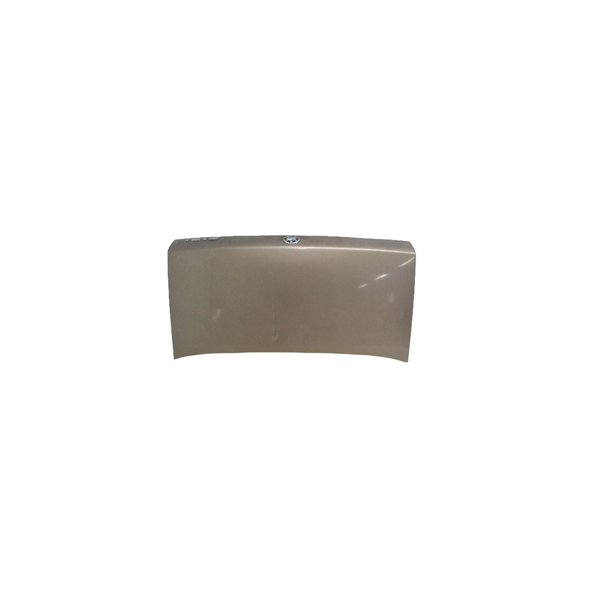 BMW 5-Series E28 Tailgate (without window)