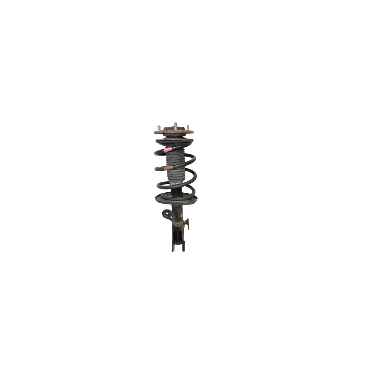 Lexus CT-200H Spring strut, front left