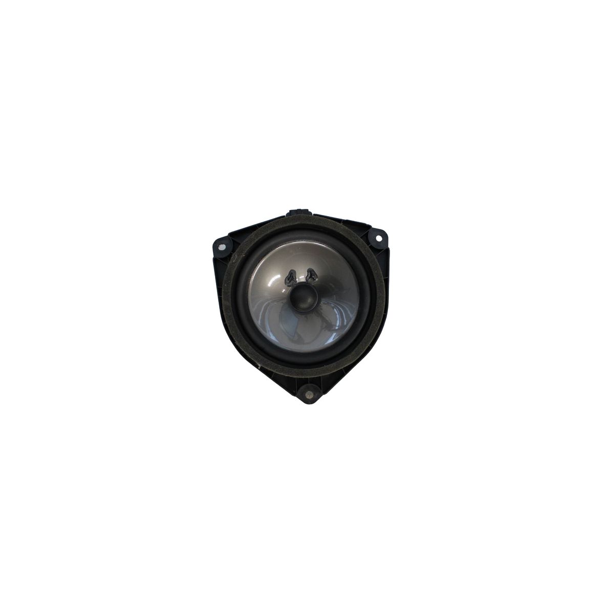Lexus NX-300H Speaker